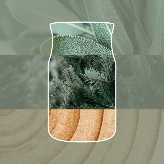 SILVER SAGE & PINE